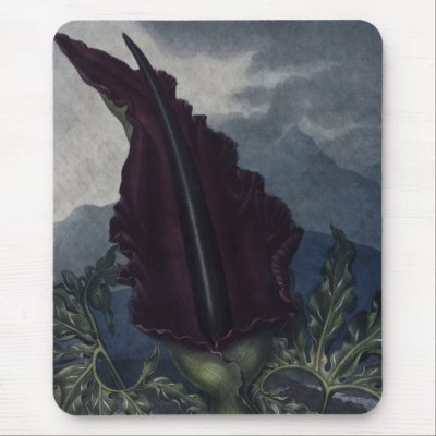 RJ Thornton - The Dragon Arum Mouse Mats by LisasLair