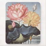 RJ Thornton - The Sacred Egyptian Bean - Lotus mousepads