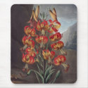 RJ Thornton - The Supurb Lily mousepads