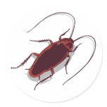 Roach!