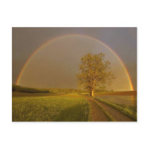 road ahead - nature scenic post card