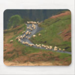 Road Block Mousepad