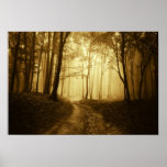 Road in a dark forest with fog poster