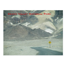 Road in the Desert Postcard