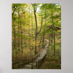 Road Less Travelled Poster