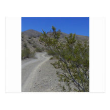 Road Not Taken Post Card