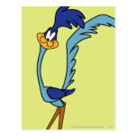 Road Runner Colour Post Cards
