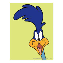 Road Runner Face Post Card