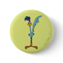 Road Runner in Colour