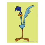 Road Runner in Colour Post Cards