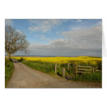 "Road to Beach at Alnmouth" cards