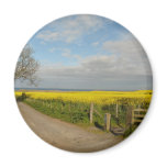 "Road to Beach at Alnmouth" magnets