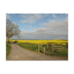 "Road to Beach at Alnmouth" Post Card postcards