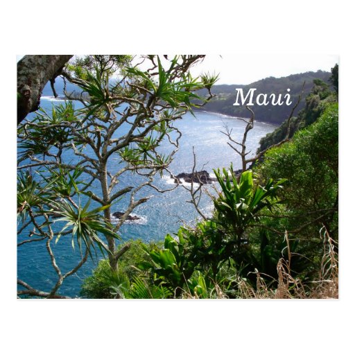 Road to Hana, Maui, Hawaii Post Card
