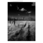 RoadLess Travelled Greeting Cards