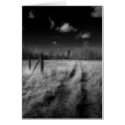 RoadLess Travelled cards