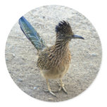 Roadrunner Sticker