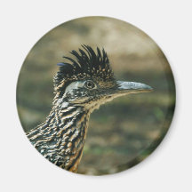Roadrunner's Crest Fridge Magnets