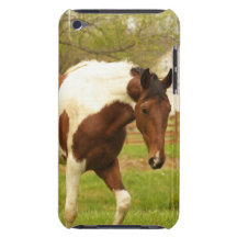 Roaming Paint Horse iTouch Case iPod Case-Mate Case