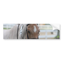 Roan Pony Bumper Stickers