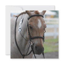 Roan Pony Invitations