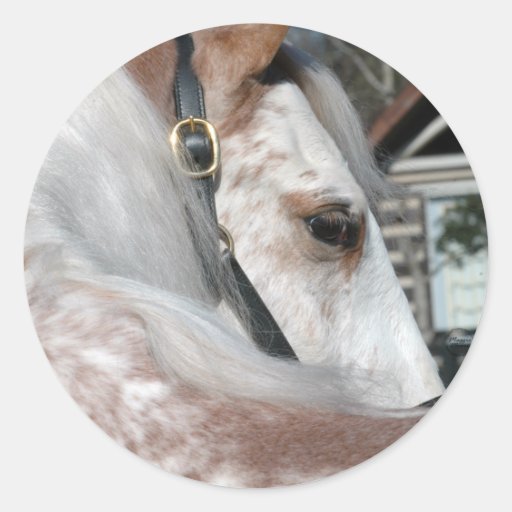 Roan Walking Horse Sticker