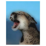 'Roaring Catamount' flyers
