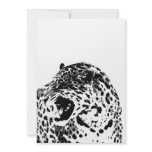 Roaring Jaguar Invitation