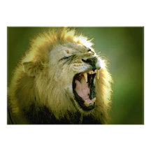 Roaring Lion Invitation