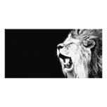 Roaring Lion photo cards