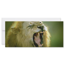 Roaring Lion Rack Card