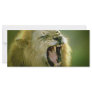 Roaring Lion Rack Card