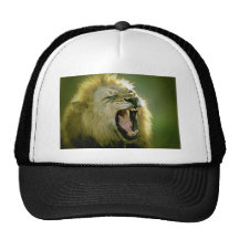 Roaring Lion Trucker Hats