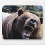 Roaring Teddy Bear Mouse Pads