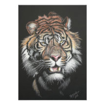 Roaring Tiger in Scratch Board Personalized Invite