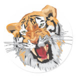 Roaring Tiger Round Sticker
