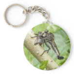 Robber fly w/Snack ~ keychain