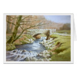 Robbers Bridge, Exmoor cards