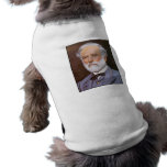 Robert E. Lee Painting pet clothing