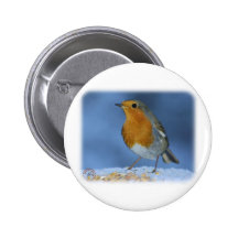 Robin 8M081D-06 Buttons