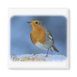 Robin 8M081D-06 magnets
