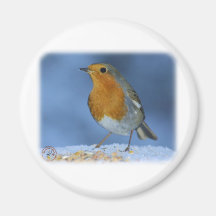 Robin 8M081D-06 Refrigerator Magnet