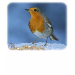 Robin 8M081D-06 t-shirts