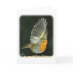 Robin 8M87D-17 cards