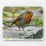 Robin 9P52D-139 mousepads