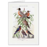 Robin and Bluebird Greeting Card