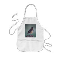 robin apron