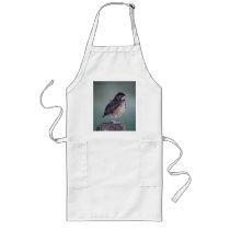 robin apron