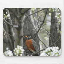 Robin & Bradford Pear Tree Blossoms Mousepads