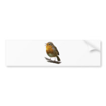 Robin Bumper Sticker